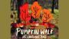 pumpkin walk photo