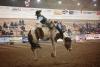 north dakota winter show photo 3