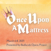 once upon a mattress photo