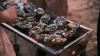 oysterfest at the vardon photo
