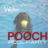 pooch pool party  i  dickinson parks & recreation photo