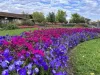 summer floral celebration photo