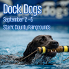 dock dogs photo
