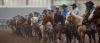 north dakota winter show photo 3