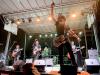 live music performance photo 9