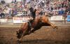 north dakota winter show photo