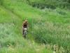 gear grinder mountain bike race photo 2