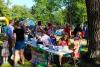 music & art in the park photo 3