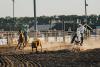 calf roping at the rodeo photo 3