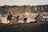 calf roping at the rodeo photo 2