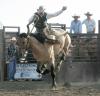 rodeo at stutsman county fair photo