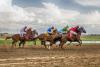 horse racing photo