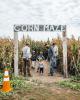 corn maze and pumpkin patch photo 3
