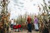 corn maze and pumpkin patch photo 4