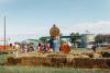 corn maze and pumpkin patch photo 2