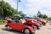 volkswagens in the valley event photo