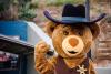medora musical photo 16