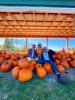  fall fun at berry acres photo