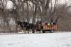 carriage rides at hollydazzle photo 2