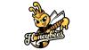 honeybees softball photo