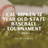 cal ripken 12 year old state baseball tournament photo