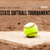 men's rec 4 west state softball tournament photo