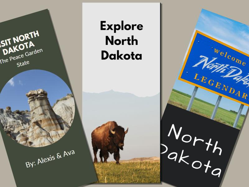 Student brochures