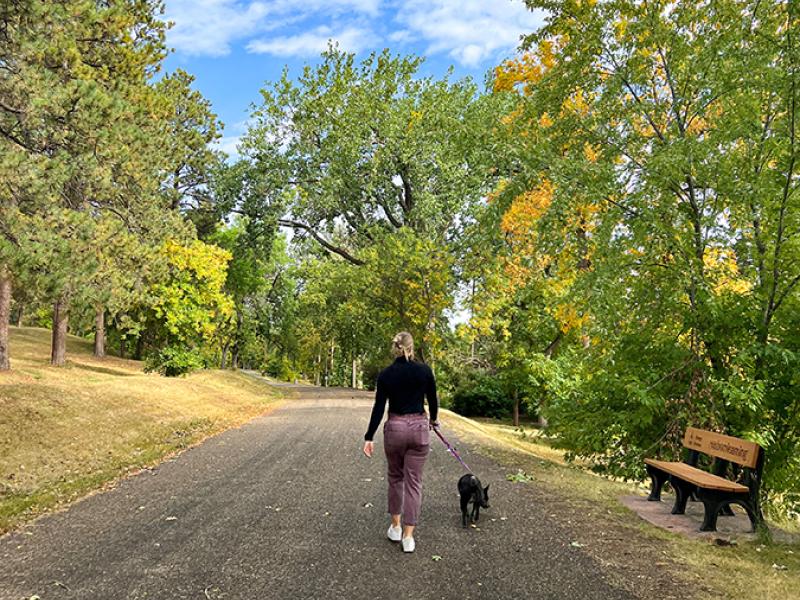 Walking dog on a trail