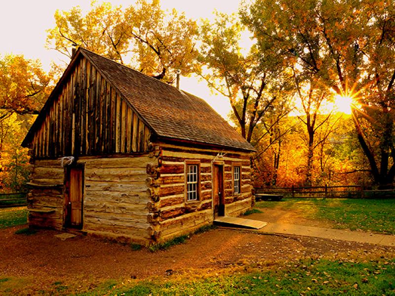 Teddy's Maltese Cabin