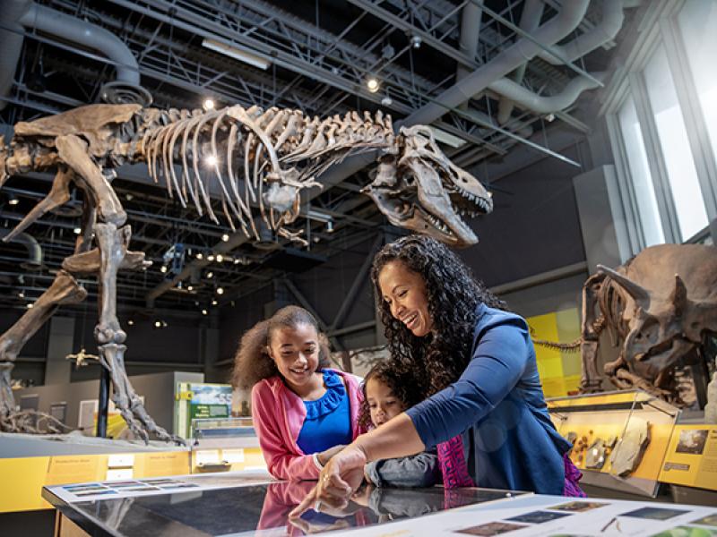 North Dakota Heritage Center and State Museum